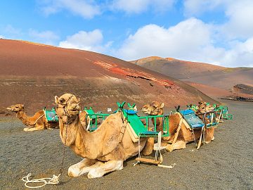 Zdjęcie kierunku: Lanzarote